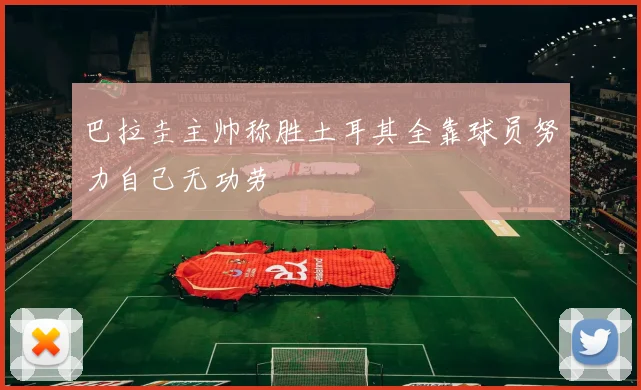 巴拉圭主帅称胜土耳其全靠球员努力自己无功劳